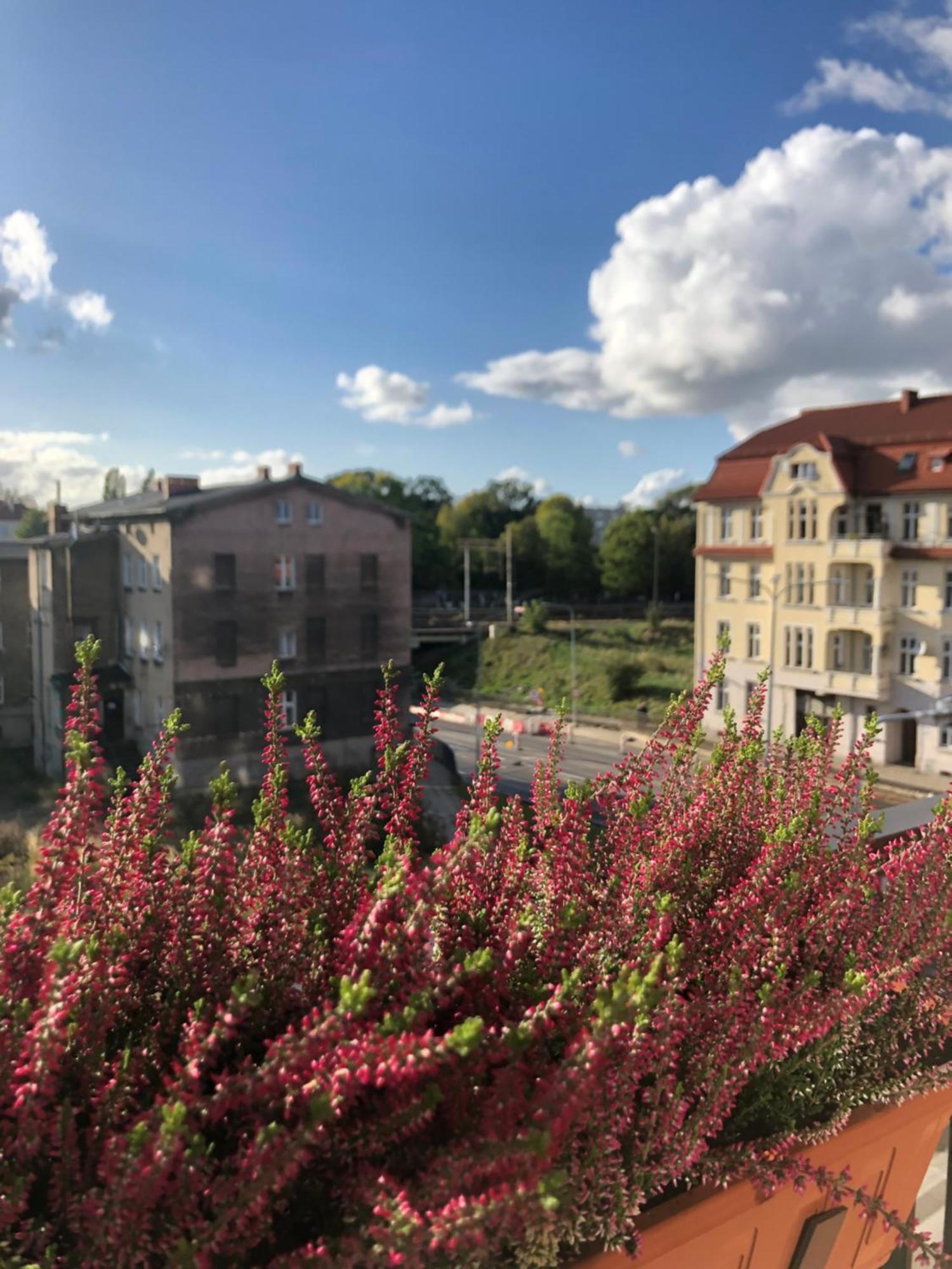 Witkacy Apartament *